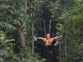 Tn DSC 4112